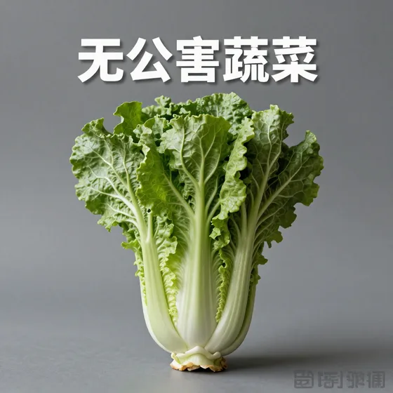科技发展公司